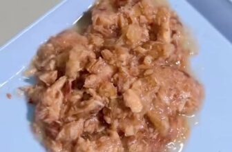 [🆕🇻🇳] URBAN PET SHOP 🐶🦜 Top1Pets 🐱🐠  Silver Spoon – Pate mèo chuẩn vị Nhật Bản
Thịt thật – không bột – không chất độn
Siêu mịn, dễ ăn, hợp cả mèo kén ăn
Giàu taurine, omega-3 giúp mắt sáng , shares-0✔️ , likes-12❤️️ , date-2025-11-29 02:47:29🐶🐱🇻🇳🇻🇳🇻🇳📰🆕