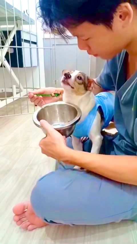 [🆕🇻🇳] Bệnh Viện Thú Y Pet Health Centre Long Khánh 🐶🦜 Top1Pets 🐱🐠 TỪ ÁNH MẮT CHẠM ĐẾN TRÁI TIM
Khi trái tim của người bác sĩ đặt đúng chỗ, hành động bằng sự tận tâm và dịu dàng thì những người bạn bốn chân sẽ cảm nhận đư , shares-0✔️ , likes-2❤️️ , date-2025-11-29 02:55:23🐶🐱🇻🇳🇻🇳🇻🇳📰🆕