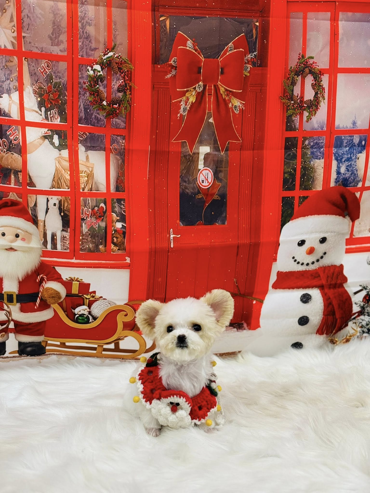 [🆕🇻🇳] Mymy Pet House – Tiệm Làm Đẹp Thú Cưng. 162 Nguyễn Huy Tưởng 🐶🦜 Top1Pets 🐱🐠 Giáng Sinh có hay không cũng vậy thôi, người yêu có hay không cũng vậy thôi, vì tôi không có tiền.
, shares-0✔️ , likes-2❤️️ , date-2025-11-27 23:35:22🐶🐱🇻🇳🇻🇳🇻🇳📰🆕