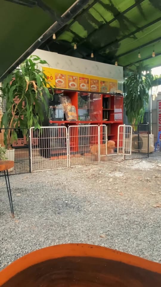 [🆕🇻🇳] PetPaw Pet Shop 🐶🦜 Top1Pets 🐱🐠  BAME đi chơi chưa biết gởi mấy “ẻm” ở đâu!?
Lo lắng mấy “ẻm” không được thoải mái vui chơi như ở nhà !?
—— Để  #PetPaw lo, bame khoải “phờ – lo”𝐏𝐞𝐭𝐩𝐚𝐰 , shares-0✔️ , likes-3❤️️ , date-2025-11-28 15:50:40🐶🐱🇻🇳🇻🇳🇻🇳📰🆕