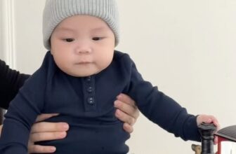 [🆕🇻🇳] THE OFFICIAL MACRO & MICRO BABIES CLOTHES 😎❤️️⭐️ Hello Holidayyyy!!!!Cậu bạn nhỏ chỉ cần diện một outfit đơn giản thôi mà đã thấy mùa Noel gõ cửa rồi. #babies #macromicrobabies #macromicro #kidclothes  , shares-0✔️ , likes-3❤️️ , date-2025-12-08 21:35:34🇻🇳🇻🇳🇻🇳📰🆕