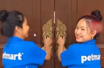 [🆕🇻🇳] Pet Mart – Cửa Hàng Thú Cưng 🐶🦜 Top1Pets 🐱🐠 18 vị a la hạn hán  #funnydog #chó_cưng #chócute , shares-0✔️ , likes-23❤️️ , date-2025-12-08 21:37:26🐶🐱🇻🇳🇻🇳🇻🇳📰🆕