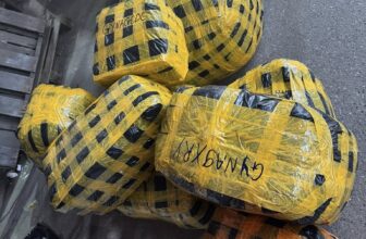 [🆕🇻🇳] Tiến Ngát Sỉ Qate  (Tiến Ngát) 🧑‍🧒❤️️👶⭐️ulrrp104
, shares-0✔️ , likes-5❤️️ , date-2025-11-27 01:00:02🇻🇳🇻🇳🇻🇳📰🆕