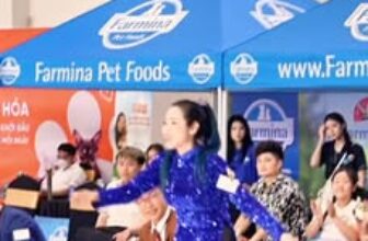 [🆕🇻🇳] Học viện cắt tỉa lông Quốc tế – Queen Pet International Grooming Academy 🐶🦜 Top1Pets 🐱🐠  CẶP ĐÔI VÀNG CỦA QUEEN PET ACADEMY – NỀN TẢNG LÀM NÊN HUYỀN THOẠIĐể có được ánh hào quang rực rỡ của Queen Bichon Angel, chúng ta không thể nào không n , shares-0✔️ , likes-1❤️️ , date-2025-11-28 03:01:09🐶🐱🇻🇳🇻🇳🇻🇳📰🆕