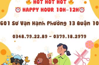 [🆕🇻🇳] Ginnie Pet shop 🐶🦜 Top1Pets 🐱🐠  CHẤN ĐỘNG – CHẤN ĐỘNG TẠI GINNIE SPA
HAPPY HOURS – KHUNG GIỜ VÀNG 10H–12HCác boss ơi, đến Ginnie làm đẹp liền tay – “săn” ưu đãi cực hời nèeeGIẢM  , shares-0✔️ , likes-3❤️️ , date-2025-11-29 21:54:37🐶🐱🇻🇳🇻🇳🇻🇳📰🆕