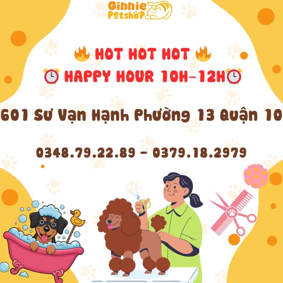 [🆕🇻🇳] Keen Pet – Spa Thú Cưng Đà Nẵng 🐶🦜 Top1Pets 🐱🐠  , shares-0✔️ , likes-1❤️️ , date-2025-12-05 15:49:06🐶🐱🇻🇳🇻🇳🇻🇳📰🆕