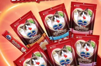 [🆕🇻🇳] PawPaw Petshop – Thức ăn, Phụ kiện & Spa cho thú cưng 🐶🦜 Top1Pets 🐱🐠 SÚP THƯỞNG THƠM NGON GIÚP BOSS “BẬT” NĂNG LƯỢNGBoss cưng năng lượng không tự nhiên mà có, vì tính mèo nhà chỉ thích nằm lười, măm ngon và ngủ ngày.
Sen  , shares-0✔️ , likes-1❤️️ , date-2025-12-04 02:30:24🐶🐱🇻🇳🇻🇳🇻🇳📰🆕