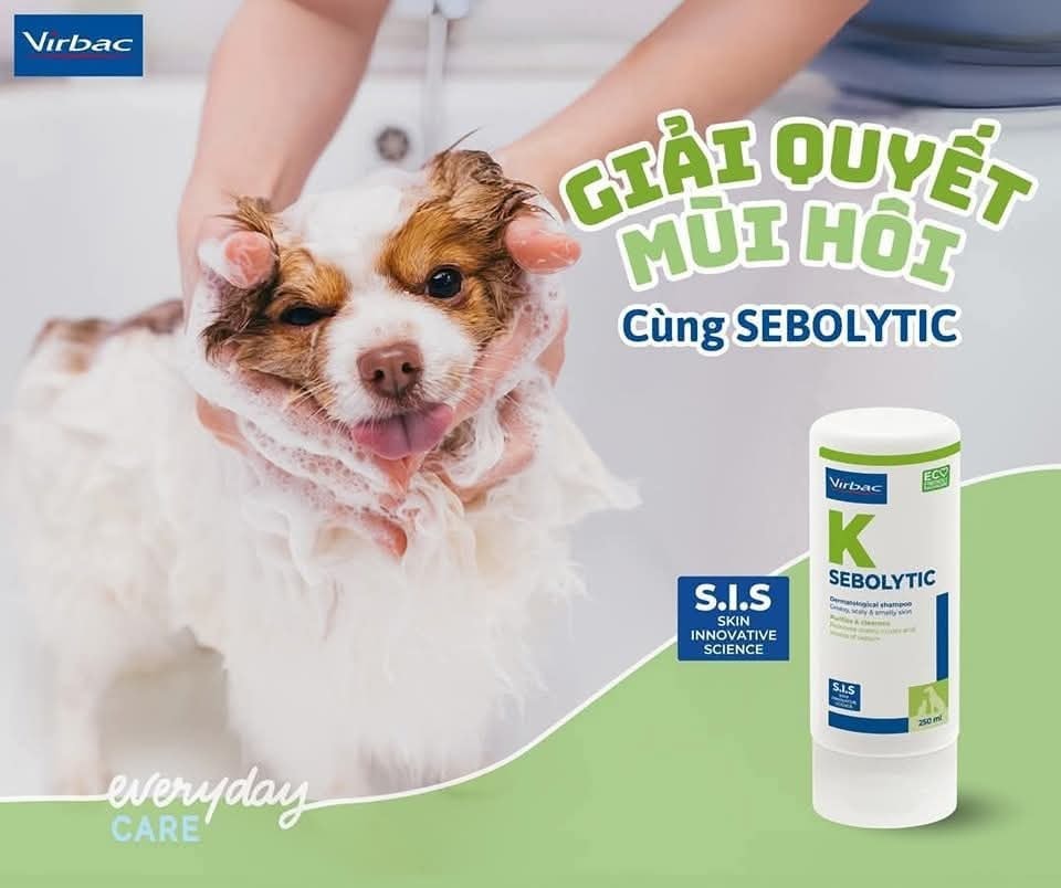 [🆕🇻🇳] Siêu Thị Thú Cưng Sa Đéc 🐶🦜 Top1Pets 🐱🐠 𝐆𝐈𝐀̉𝐈 𝐐𝐔𝐘𝐄̂́𝐓 𝐌𝐔̀𝐈 𝐇𝐎̂𝐈 𝐂𝐔̀𝐍𝐆 𝐒𝐄𝐁𝐎𝐋𝐘𝐓𝐈𝐂??? Mùi hôi trên da chó mèo là vấn đề phổ biến, và có nhiều nguyên nhân gây ra:Vệ sinh kém: “Sen” lười tắm cho , shares-0✔️ , likes-0❤️️ , date-2025-11-28 06:21:06🐶🐱🇻🇳🇻🇳🇻🇳📰🆕