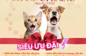 [🆕🇻🇳] Bệnh Viện Thú Y ProCare 🐶🦜 Top1Pets 🐱🐠 #benhvienthuyProcare #Procaregovap , shares-0✔️ , likes-21❤️️ , date-2025-12-03 16:12:16🐶🐱🇻🇳🇻🇳🇻🇳📰🆕