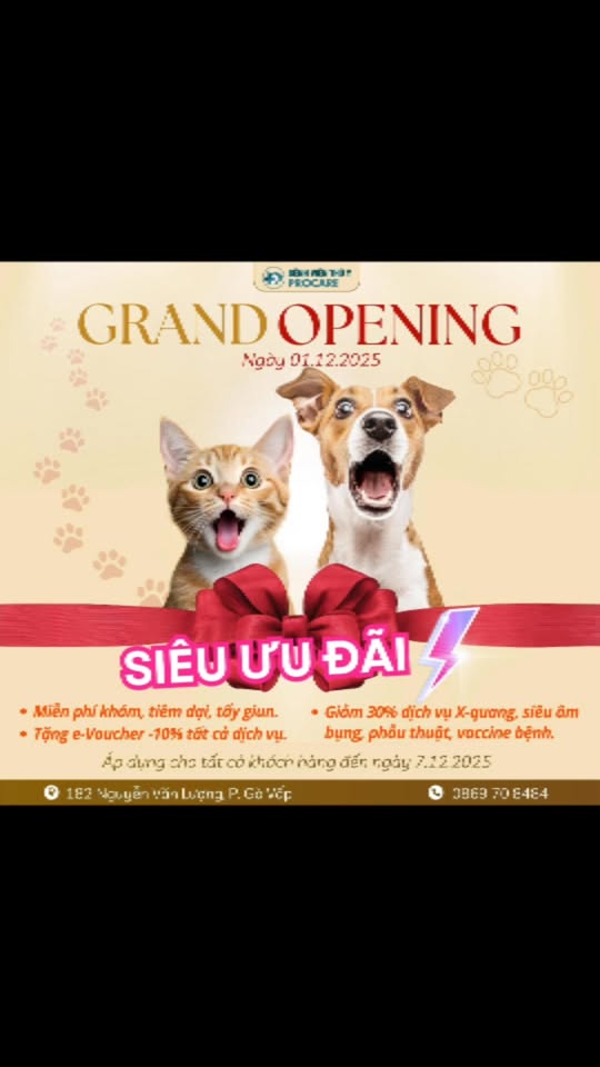 [🆕🇻🇳] Bệnh Viện Thú Y ProCare 🐶🦜 Top1Pets 🐱🐠 #benhvienthuyProcare #Procaregovap , shares-0✔️ , likes-21❤️️ , date-2025-12-03 16:12:16🐶🐱🇻🇳🇻🇳🇻🇳📰🆕