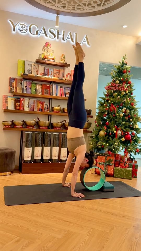 [🆕🇻🇳] URBAN PET SHOP 🐶🦜 Top1Pets 🐱🐠  , shares-0✔️ , likes-0❤️️ , date-🐶🐱🇻🇳🇻🇳🇻🇳📰🆕