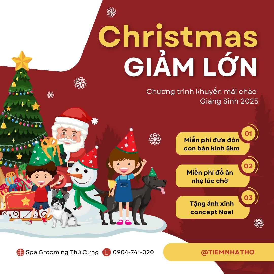 [🆕🇻🇳] Tiệm Nhà Thỏ – Hotel Spa Grooming 🐶🦜 Top1Pets 🐱🐠  GIÁNG SINH NÀY, TIỆM NHÀ THỎ CHƠI LỚN TUNG DEAL NOEL KHỦNG LÊN TỚI 𝟐𝟎%Áp dụng từ 𝟎𝟏/𝟏𝟐 – 𝟑𝟏/𝟏𝟐, nhanh chân thì còn, chậm chân là hết quà Giáng sinh đó  , shares-2✔️ , likes-10❤️️ , date-2025-12-01 04:42:58🐶🐱🇻🇳🇻🇳🇻🇳📰🆕