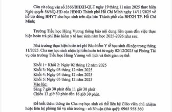 [🆕🇻🇳] Mom Kevin – Chuyên hàng mẹ và bé 🧑‍🧒❤️️👶⭐️ Sáng nay đưa con tới lớp xong, tiện thể mẹ ghé qua phòng tài vụ nhận lại tiền BHYT đã đóng.
Năm nay Nhà nước đúng là tâm lý ghê luôn, hỗ trợ cho các “mầm n , shares-0✔️ , likes-1❤️️ , date-2025-12-03 17:35:03🇻🇳🇻🇳🇻🇳📰🆕