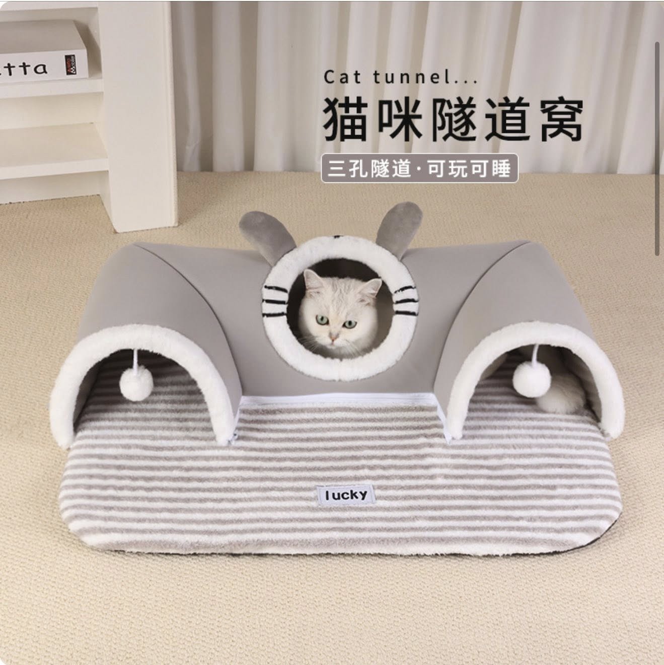 [🆕🇻🇳] Pet’s House – chuyên phụ kiện Thức ăn cho thú cưng 🐶🦜 Top1Pets 🐱🐠 Pet’s House đã thêm ảnh vào album: MẪU ĐỆM 2024
, shares-0✔️ , likes-2❤️️ , date-2025-12-02 03:44:27🐶🐱🇻🇳🇻🇳🇻🇳📰🆕