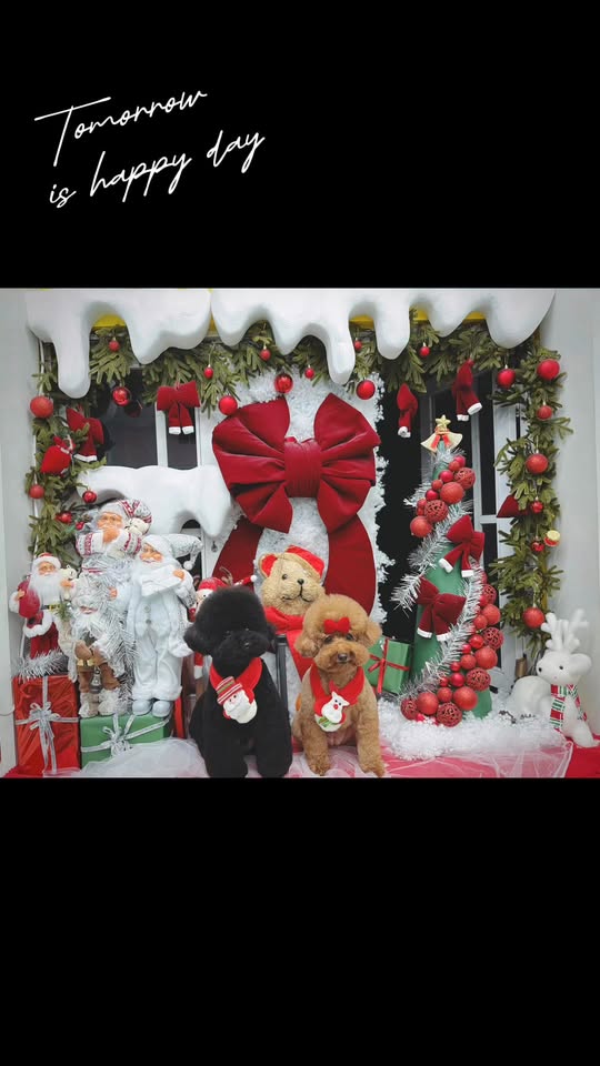 [🆕🇻🇳] MiMi Pet Spa Đà Lạt 🐶🦜 Top1Pets 🐱🐠 “Merry Christmas, bạn yêu quý! Hãy cùng nhau tạo nên những kỷ niệm không thể quên trong mùa lễ này nhé!”MiMiPetSpa Đà Lạt
Địa chỉ , shares-0✔️ , likes-0❤️️ , date-2025-11-30 15:04:09🐶🐱🇻🇳🇻🇳🇻🇳📰🆕