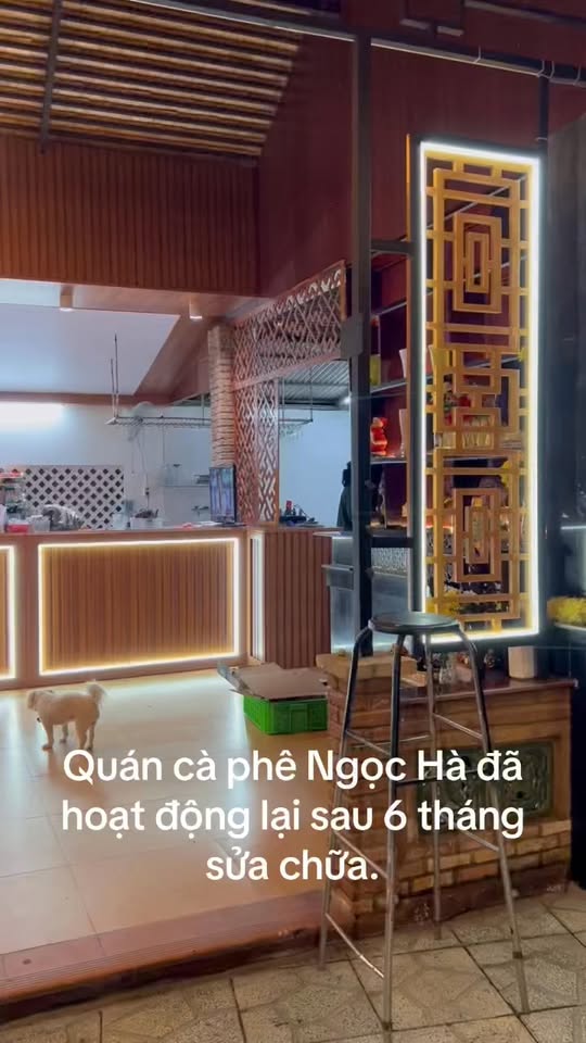 Victoria Yoga – Trung Tâm Đào Tạo HLV Chuyên Nghiệp Yoga Quốc Gia  🧘Top1Yoga🧘   Sau 17 năm chú chuột mới đồng ý cho mẹ đăng hình em !!!!!!!  hihiiiii !!!!!!! cũng hơi khó tánh nhé zai iu !!!!!!!!!!!!  , shares-0✔️ , likes-92❤️️ , date-2025-12-12 18:03:59 🇻🇳🇻🇳🇻🇳📰🆕