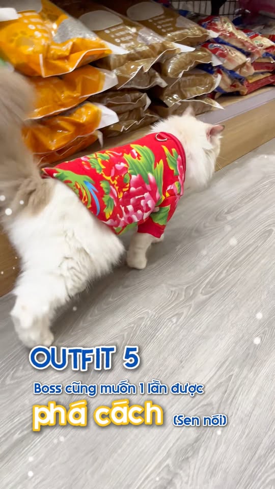 [🆕🇻🇳] BÔNG BOSS FAM 🐶🦜 Top1Pets 🐱🐠 Ở đây có rái tai bao phê
Đã được khách hàng kiểm chứng
Bông Béo – Grooming-Spa.
𝑵𝒉𝒂̀ 𝑩𝒐̂𝒏𝒈 𝒇𝒓𝒆𝒆 đ𝒖̛𝒂 đ𝒐́𝒏 𝒕𝒓𝒐𝒏𝒈 𝒌𝒉𝒖 , shares-0✔️ , likes-2❤️️ , date-2025-12-04 19:08:44🐶🐱🇻🇳🇻🇳🇻🇳📰🆕