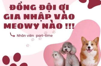 [🆕🇻🇳] Meowy Pet Shop 🐶🦜 Top1Pets 🐱🐠 Cửa hàng thú cưng Meowy cần tuyển nhân viên bán hàng
* Không yêu cầu bằng cấp
Nơi làm việc:
112 Nguyễn Cửu Vân, P.17, Bình Thạnh
*Thời gian:
Bán thời gian/ , shares-3✔️ , likes-35❤️️ , date-2025-12-05 05:57:38🐶🐱🇻🇳🇻🇳🇻🇳📰🆕