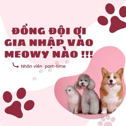 [🆕🇻🇳] Phòng Khám Thú Y Pet Plus 🐶🦜 Top1Pets 🐱🐠 ĐẶT STENT ĐƯỜNG HÔ HẤP VÀ PHẪU THUẬT KHẨU CÁI MỀM CHO BÉ CHÓ.
Tình trạng bệnh lúc nhập viện
– Bé được chuyển từ Nha Trang vào Pet Plus trong tình trạng ha , shares-0✔️ , likes-37❤️️ , date-2025-12-05 04:27:23🐶🐱🇻🇳🇻🇳🇻🇳📰🆕