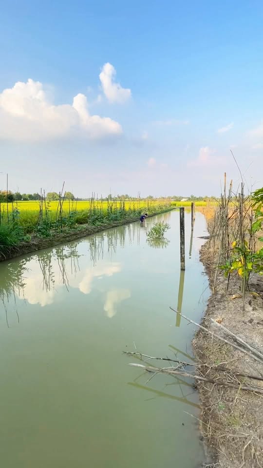[🆕🇻🇳] Dương Nguyễn  (Kho Sỉ Pizama) 👕 Top1Fashion 👗  Tối ngày ăn uống k lo chứ mấy này hay lắm  Bo Bo Thái , shares-0✔️ , likes-58❤️️ , date-2025-12-04 16:39:37🇻🇳🇻🇳🇻🇳📰🆕