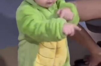 [🆕🇻🇳]  Shop Mẹ Ken-2Hand Baby – Shop chuyên hàng si Tuyển Hàn- Nhật- Mỹ  🧑‍🧒❤️️👶⭐️ Khách tui nè mấy b. Trộm vía quá chừng luôn ý , shares-0✔️ , likes-0❤️️ , date-2025-12-05 15:19:42🇻🇳🇻🇳🇻🇳📰🆕