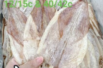 [🆕🇻🇳] Đặc Sản Vùng Quê – Thực phẩm & Đồ uống 🍔 Top1Food  🍜 Mực câu size 12/15c & 40/42c nhà em..quá xuất sắc cả nhà iu , shares-0✔️ , likes-5❤️️ , date-2025-12-06 17:49:22🇻🇳🇻🇳🇻🇳📰🆕