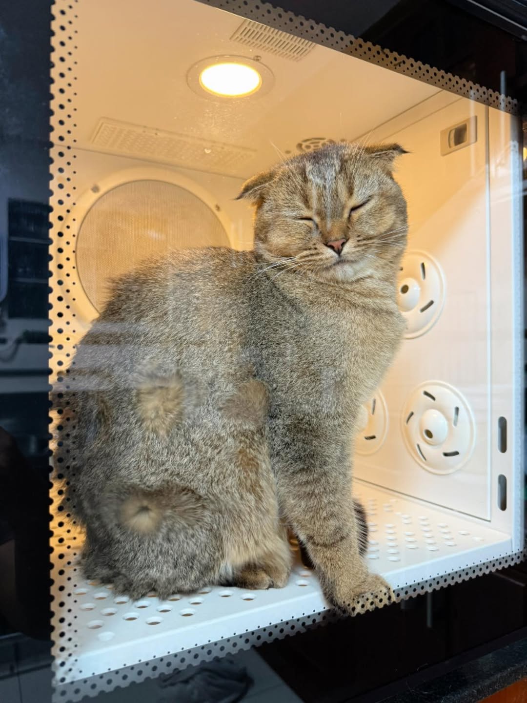 [🆕🇻🇳] Sugar Pie – Spa & Hotel Thú Cưng Cao Cấp 🐶🦜 Top1Pets 🐱🐠 Một mảnh ký ức, anh chia ra làm hai phần
Phần đầu là phần đẹp nhất, phần con lại khắc cốt ghi tâm
, shares-0✔️ , likes-0❤️️ , date-2025-12-05 20:47:17🐶🐱🇻🇳🇻🇳🇻🇳📰🆕