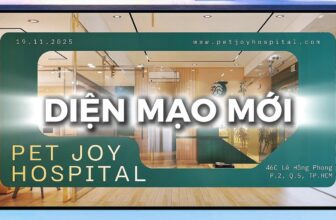 [🆕🇻🇳] Bệnh Viện Thú Y Pet Joy Hồ Chí Minh 🐶🦜 Top1Pets 🐱🐠  , shares-0✔️ , likes-138❤️️ , date-2025-12-07 06:03:30🐶🐱🇻🇳🇻🇳🇻🇳📰🆕