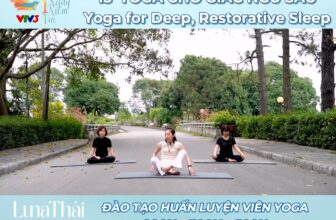 [🆕🇻🇳] Luna Thái Học Viện Yoga Quốc Tế 🧘 Top1Yoga 🤸🏻‍♀️ \u0110\u00e3 bao gi\u1edd b\u1ea1n c\u1ea3m th\u1ea5y c\u01a1 th\u1ec3 m\u00ecnh gi\u1ed1ng nh\u01b0 m\u1ed9t ng\u00f4i nh\u00e0? M\u1ed9t ng\u00f4i nh\u00 , shares-0✔️ , likes-0❤️️ , date-2025-12-07 03:01:09🇻🇳🇻🇳🇻🇳📰🆕
