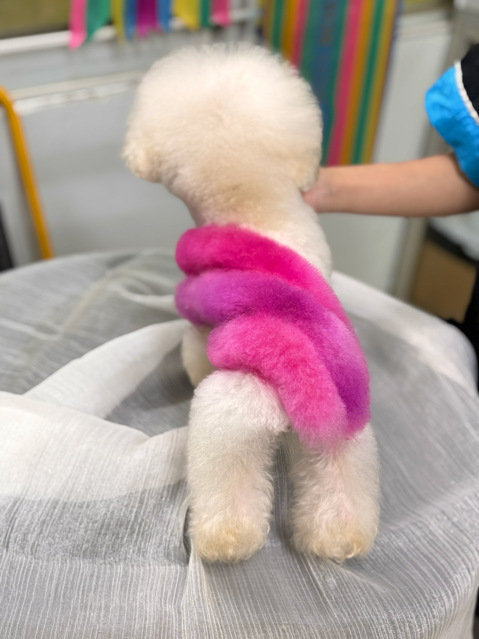 [🆕🇻🇳] Juli Pet Salon – Nha Trang 🐶🦜 Top1Pets 🐱🐠  Lên thêm mẫu nó vừa dịu dàng mà nó cool mà nó chất mà nó nổi gì đâu áNhững dịch vụ ở #JULI
Spa – Hotel – Thức ăn – Phụ kiện – Bán cún mèo cảnh
Đào  , shares-0✔️ , likes-4❤️️ , date-2025-12-03 17:29:49🐶🐱🇻🇳🇻🇳🇻🇳📰🆕