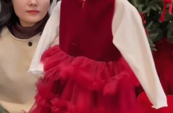 [🆕🇻🇳] Cá Mập Em Bé – Thời Trang Trẻ Em Đà Nẵng 🧑‍🧒❤️️👶⭐️  , shares-0✔️ , likes-7❤️️ , date-2025-12-09 02:19:03🇻🇳🇻🇳🇻🇳📰🆕