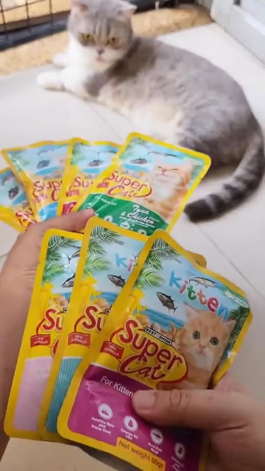 [🆕🇻🇳] Bệnh Viện Thú Y Petshare 366 Khương Đình 🐶🦜 Top1Pets 🐱🐠 Hành trình triệt sản của Bé Điệu”  tại Petshare
______________
Cơ sở 1: 372 Khương Đình, Thanh Xuân, Hà Nội
Cơ sở 2: 593 Kim Ngưu, Hai Bà Trưng, Hà Nội
, shares-1✔️ , likes-2❤️️ , date-2025-12-08 02:57:45🐶🐱🇻🇳🇻🇳🇻🇳📰🆕