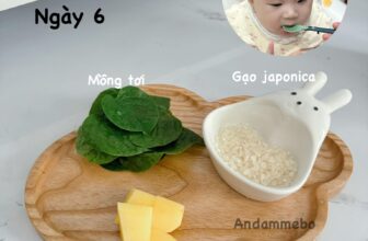 [🆕🇻🇳] Thanh Nguyễn – Shop mẹ Bắp – CHUYÊN THỰC PHẨM ĂN DẶM HỮU CƠ- ĐỒ DÙNG ĂN DẶM KÈM THỰC ĐƠN 🧑‍🧒❤️️👶⭐️ Ngày 6 ăn dặm: Hôm nay con ăn combo mồng tơi sạch “nông trại của ông ngoại” + khoai tây đà lạtVừa ăn vừa cười toe nhưng mồm thì… dính đầy cháo
K uổng c , shares-0✔️ , likes-10❤️️ , date-2025-12-08 21:13:37🇻🇳🇻🇳🇻🇳📰🆕