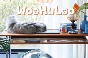 [🆕🇻🇳] PetChoice PetShop  🐶🦜 Top1Pets 🐱🐠 Chào mừng các Sen đến với lối sống nuôi mèo hiện đại cùng WooHuLooGặp Woohuloo – yêu ngay từ cái nhìn đầu tiên!
Khử mùi 360° – hết sạch mùi cát mèo, nh , shares-0✔️ , likes-0❤️️ , date-2025-12-05 17:09:42🐶🐱🇻🇳🇻🇳🇻🇳📰🆕