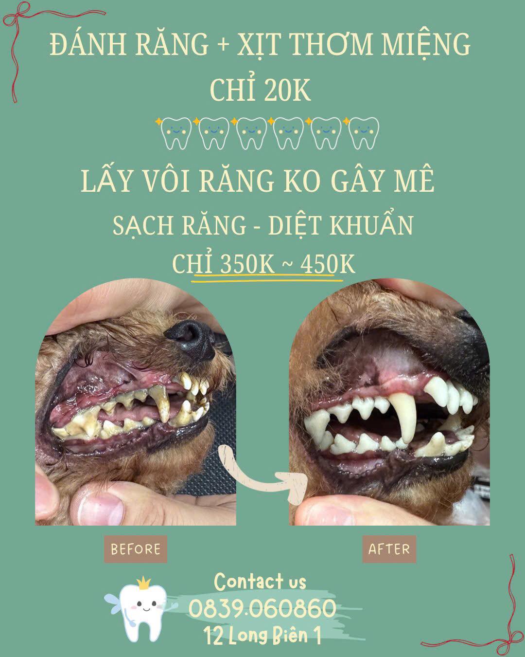 [🆕🇻🇳] The Pet Spa – Tiệm Làm Đẹp Thú Cưng 12 Long Biên 1 🐶🦜 Top1Pets 🐱🐠 Tiệm có dịch vụ lấy vôi răng KHÔNG GÂY MÊ và đánh răng nha các Sen uiiiInbox để đặt lịch ngay ạ___________
The PET SPA – Pet Grooming Academy
số 12 , shares-0✔️ , likes-0❤️️ , date-2025-12-03 22:22:21🐶🐱🇻🇳🇻🇳🇻🇳📰🆕