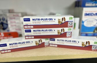 [🆕🇻🇳] Bệnh Viện Thú Y TropicPet Hà Đông 🐶🦜 Top1Pets 🐱🐠 Gel dinh dưỡng, dưỡng lông, bổ máu gì chưa bame ơiiiii—————–★★★★★——————
𝐓𝐑𝐎𝐏𝐈𝐂𝐏𝐄𝐓 – 𝐀𝐍𝐈𝐌𝐀𝐋 𝐇𝐎𝐒𝐏𝐈𝐓𝐀𝐋
Hà Đông: 175B Đường 19/05 | 0 , shares-0✔️ , likes-0❤️️ , date-2025-12-11 17:00:30🐶🐱🇻🇳🇻🇳🇻🇳📰🆕