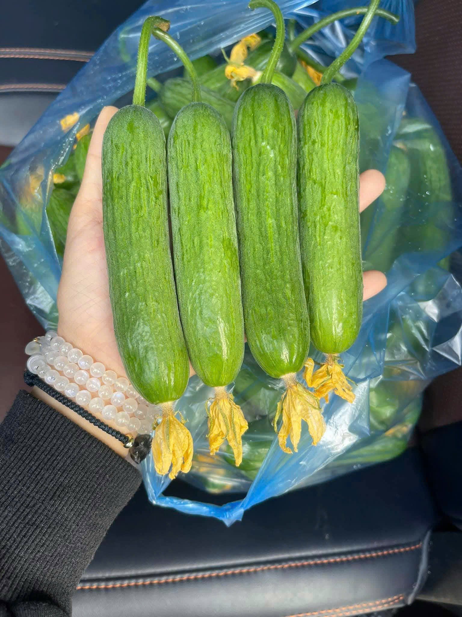 [🆕🇻🇳]  Shop Nhóc&Mom Đội Cấn – Chăm sóc con yêu 🧑‍🧒❤️️👶⭐️  Đầu Tuần mới NhocMom Làm gì???
Bán Dưa bao tử cho Các Mẹ được Không??
Không… NhocMom Tặng Free cho Ba Mẹ mua Sữa-Bỉm-TPCN tại nhà NhocMom luôn rồi…
Chỉ  , shares-0✔️ , likes-10❤️️ , date-2025-12-08 16:11:47🇻🇳🇻🇳🇻🇳📰🆕