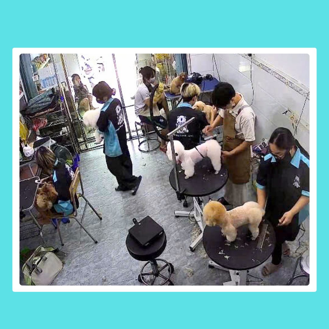 [🆕🇻🇳] Phô Mai Grooming – Tiệm Làm Đẹp Thú Cưng Quận 6  🐶🦜 Top1Pets 🐱🐠  3 ngày cuối tuần trôi qua thật “ấm áp” khi cả hai chi nhánh Phô Mai Grooming đều kín lịch cứng, và Phô Mai PetHomestay cũng đầy đủ từng phòng một!

 Cám ơ , shares-0✔️ , likes-12❤️️ , date-2025-12-09 02:01:09🐶🐱🇻🇳🇻🇳🇻🇳📰🆕