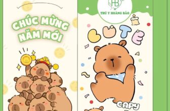 [🆕🇻🇳] Thú Y Hoàng Bảo – Siêu Thị Thú Cưng 🐶🦜 Top1Pets 🐱🐠 Khách Hàng IU quí của em Ngân ghé nhận quà nhé
Tháng 12 này e có sổ giun và nhỏ về miễn phí nữa ah
, shares-5✔️ , likes-39❤️️ , date-2025-12-06 06:11:52🐶🐱🇻🇳🇻🇳🇻🇳📰🆕