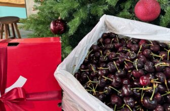 [🆕🇻🇳] Melon Garden – GlobalGap-Thế giới dưa lưới và thực phẩm sạch hữu cơ  🍔 Top1Food  🍜  CUỐI TUẦN ĐẠI SALE – GIẢM GIÁ SỐC TẠI MELON GARDEN!
Hôm nay tiệm chơi lớn xả ưu đãi hàng loạt trái cây & nông sản siêu ngon – mua là lời, chốt lẹ kẻo hết , shares-1✔️ , likes-0❤️️ , date-2025-12-08 01:02:41🇻🇳🇻🇳🇻🇳📰🆕