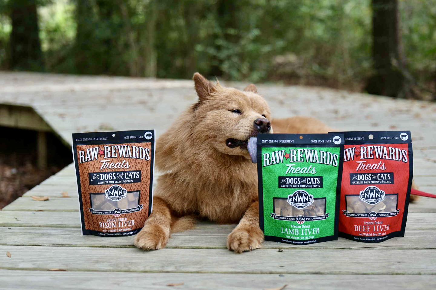 [🆕🇻🇳] LEO PET HOUSE – Grooming & Spa 🐶🦜 Top1Pets 🐱🐠 Little baby
, shares-0✔️ , likes-5❤️️ , date-2025-12-07 17:15:32🐶🐱🇻🇳🇻🇳🇻🇳📰🆕