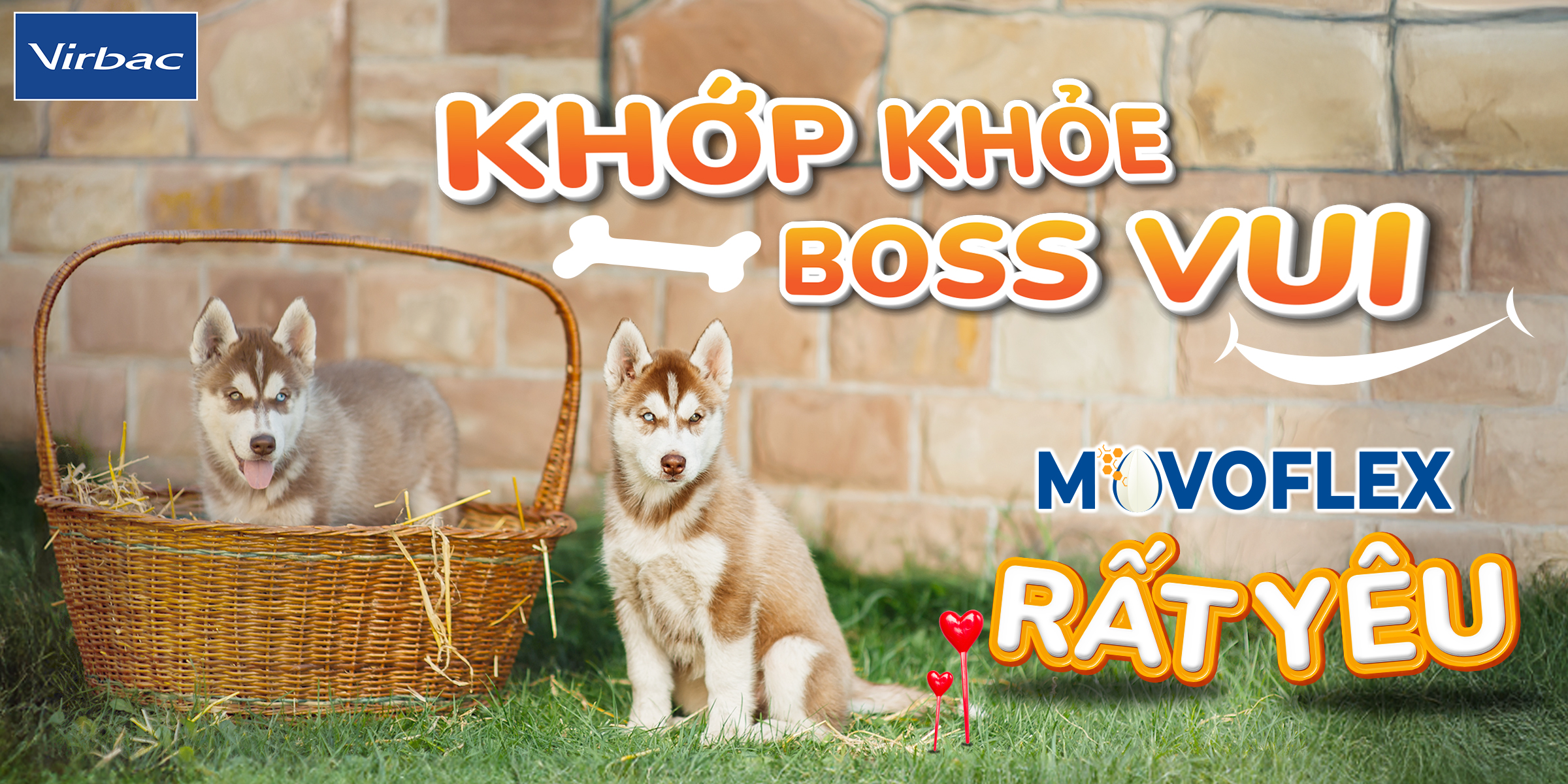 [🆕🇻🇳] BỆNH VIỆN THÚ Y KIM SƠN 46 E2 Nguyễn Văn Đậu, f6. Bình Thạnh 0334547271 🐶🦜 Top1Pets 🐱🐠 Những khoảnh khắc bé xíu xiu nhưng cực kỳ dễ thương tại Kim Sơnba mẹ có thấy cục cưng của mình chưa nè
#thuykimson #benhvienthuy #chomeodethuong #dieutric , shares-0✔️ , likes-21❤️️ , date-2025-12-07 02:00:00🐶🐱🇻🇳🇻🇳🇻🇳📰🆕