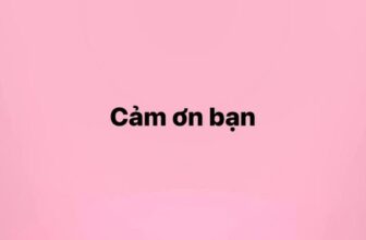 [🆕🇻🇳] Kid’s Box – Shop Mẹ & Bé 🧑‍🧒❤️️👶⭐️ Những fan cứng trung thành của tôi ơi, cảm ơn các bạn nhiều nhé !Trần HuyềnKiều Tiên Cao ThịPhạm Nguyễn Anh ThiHa Thuy LinhNguyễn Hoài ThươngPhạm Ngọc , shares-0✔️ , likes-2❤️️ , date-2025-12-07 14:07:44🇻🇳🇻🇳🇻🇳📰🆕