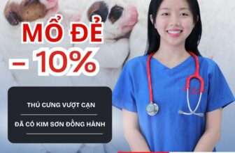 [🆕🇻🇳] Bệnh Viện Thú Y Kim Sơn Quận 3 🐶🦜 Top1Pets 🐱🐠  THÁNG 12 ƯU ĐÃI CUỐI NĂM – GIẢM 20% TRIỆT SẢN & 10% MỔ ĐẺ!Từ 1/12/2025 – 31/12/2025, Thú y Kim Sơn gửi tặng ba mẹ ưu đãi đặc biệt để bé cưng được chăm s , shares-0✔️ , likes-2❤️️ , date-2025-12-10 15:19:46🐶🐱🇻🇳🇻🇳🇻🇳📰🆕