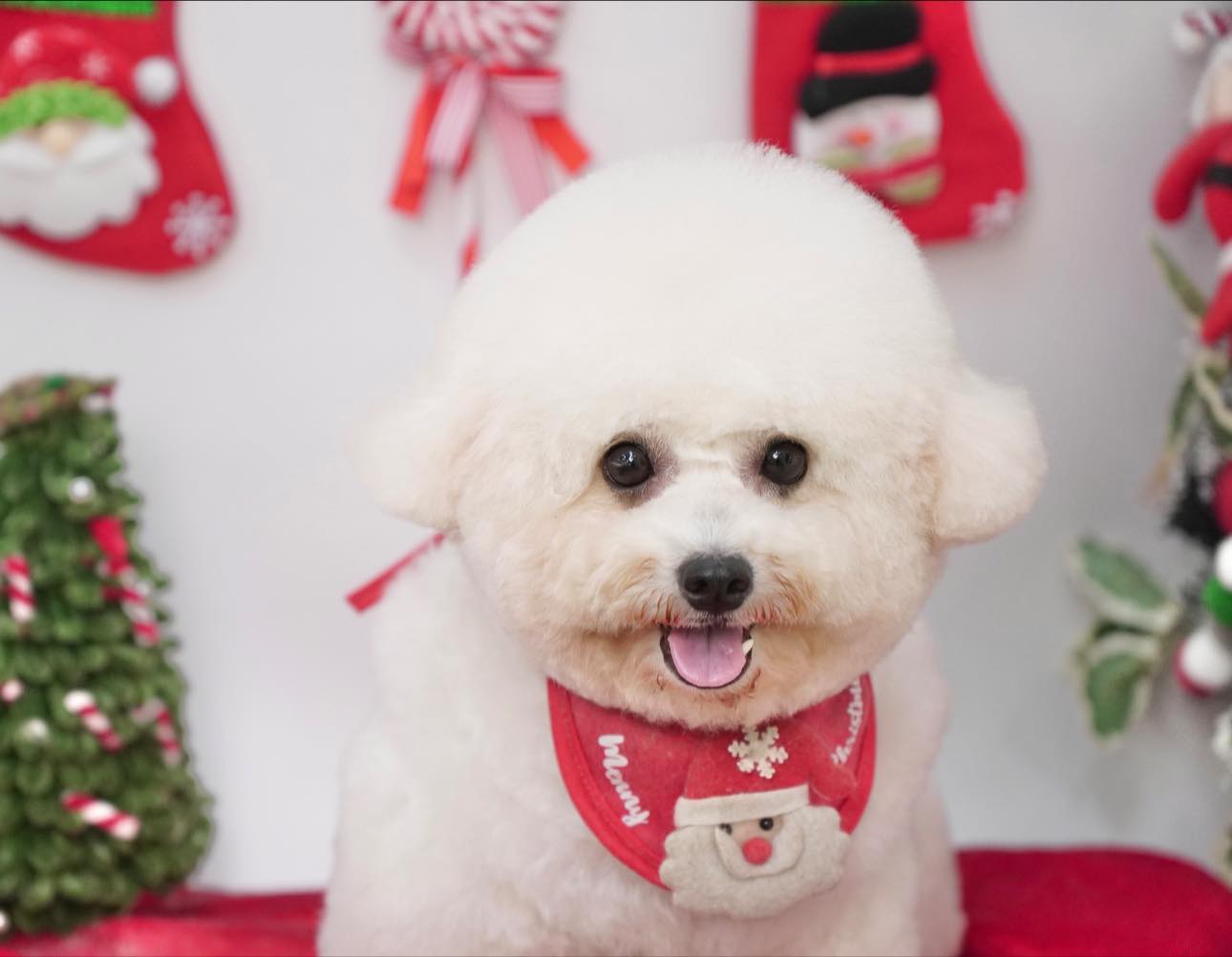 [🆕🇻🇳]  Sữa Shop-Chuyên Sỉ và Lẻ Đồ trẻ em 🧑‍🧒❤️️👶⭐️ ￼[28-45kg]
BỘ CỘC TAY  MINKYMOM CHO BÉ SIZE ĐẠI
, shares-0✔️ , likes-0❤️️ , date-2025-12-07 11:42:41🇻🇳🇻🇳🇻🇳📰🆕