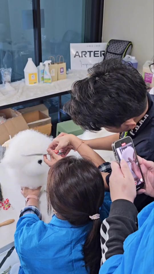 [🆕🇻🇳] Nu Pet – Yêu Thú Cưng 🐶🦜 Top1Pets 🐱🐠 Máy nhai dép lào
chạy bằng cơm#nupet
, shares-0✔️ , likes-4❤️️ , date-2025-12-06 02:00:25🐶🐱🇻🇳🇻🇳🇻🇳📰🆕