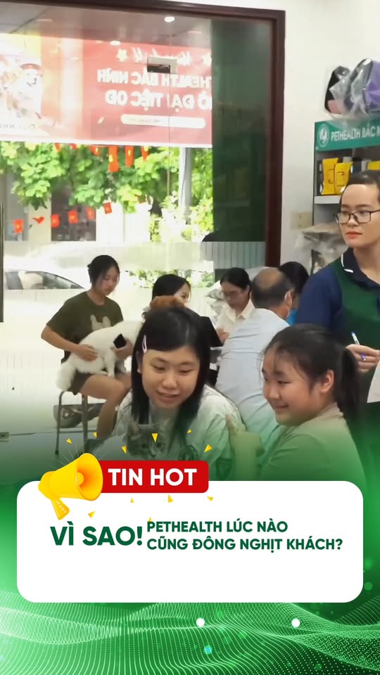 [🆕🇻🇳] Bệnh viện thú y PetHealth Hoàng Mai 🐶🦜 Top1Pets 🐱🐠  Vì sao PetHealth lúc nào cũng đông nghịt khách?
Sen xem xong hiểu liền!TOP 5 LÝ DO:1⃣ 𝐒𝐩𝐚 𝐭𝐨𝐚̀𝐧 𝐝𝐢𝐞̣̂𝐧 𝐜𝐡𝐢̉ 𝟔𝟗𝐊 – 6 bước chuyên nghiệp – khô , shares-0✔️ , likes-0❤️️ , date-2025-12-07 02:00:51🐶🐱🇻🇳🇻🇳🇻🇳📰🆕