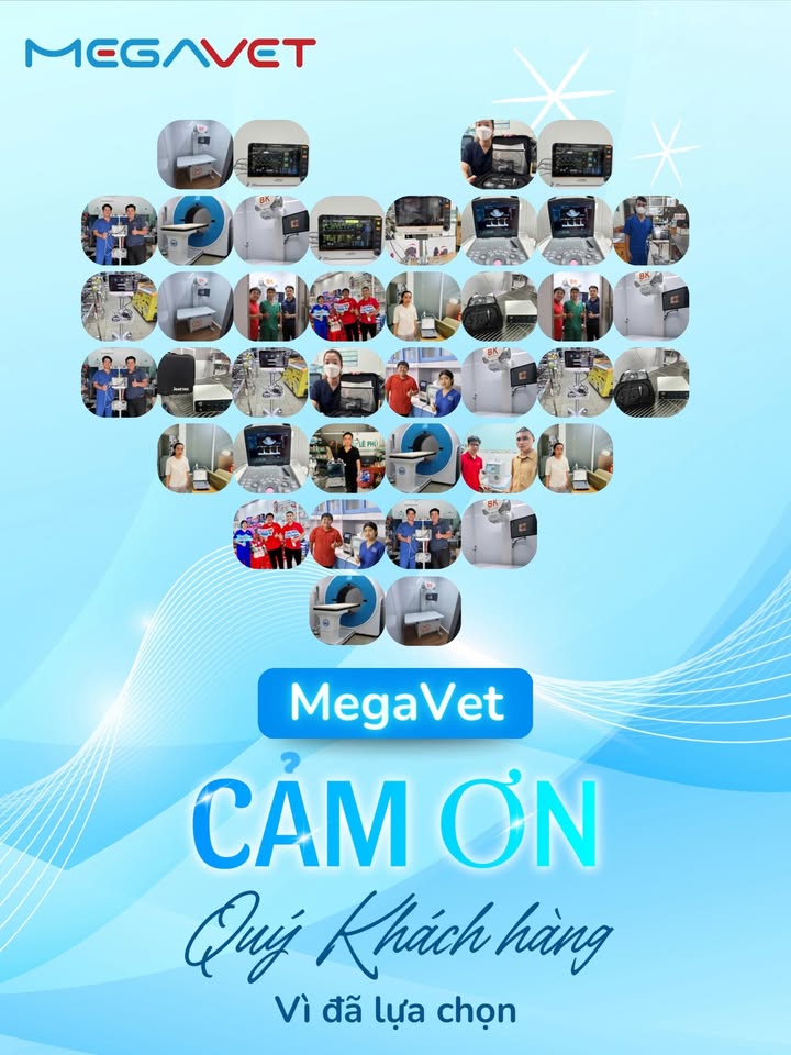 [🆕🇻🇳] Phòng Khám Thú Y Dr. VET – BÌNH CHÁNH 🐶🦜 Top1Pets 🐱🐠 Phẫu thuật gãy xương chân trước bằng nẹp Titannium
———————–
𝐏𝐇𝐎̀𝐍𝐆 𝐊𝐇𝐀́𝐌 𝐓𝐇𝐔́ 𝐘 𝐃𝐑.𝐕𝐄𝐓
Địa chỉ: 1391 Quốc Lộ 50- Phong Phú- Bình Chánh- H , shares-0✔️ , likes-13❤️️ , date-2025-07-24 01:34:11🐶🐱🇻🇳🇻🇳🇻🇳📰🆕