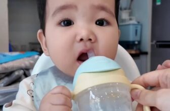 [🆕🇻🇳]  b.box Việt Nam – Đồ dùng cho bé từ Úc đã có mặt tại 60 quốc gia 🧑‍🧒❤️️👶⭐️  PHIÊN BẢN MỚI – LOONEY TUNESThương hiệu hiếm hoi  – Vượt qua tiêu chuẩn khắt khe để hợp tác với thương hiệu quốc tế. Mẫu mới được cập nhật liên tục., shares-0✔️ , likes-8❤️️ , date-2025-12-08 01:25:47🇻🇳🇻🇳🇻🇳📰🆕