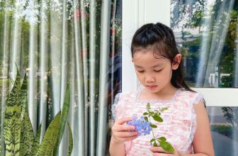 [🆕🇻🇳] Sally’s House – Thời trang cao cấp dành cho bé gái 🧑‍🧒❤️️👶⭐️ Shop tiếp tục dọn kho.
Mẫu đầm hoa phối ren mềm mặc nhẹ và mát lắm các mẹ ơi, ko hề ngứa hay khó chịu vì ren rất mềm. Chất vải mềm đẹp xịn sò lắm ạ.Shop  , shares-0✔️ , likes-1❤️️ , date-2025-12-09 17:01:47🇻🇳🇻🇳🇻🇳📰🆕